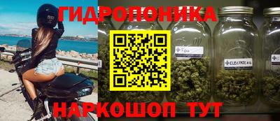 ГАЛЛЮЦИНОГЕННЫЕ ГРИБЫ Канаш