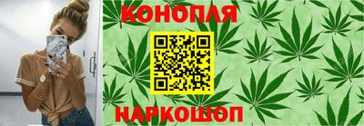 ГАЛЛЮЦИНОГЕННЫЕ ГРИБЫ Канаш