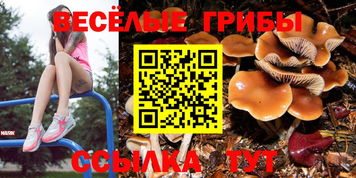 Галлюциногенные грибы GOLDEN TEACHER Лыткарино